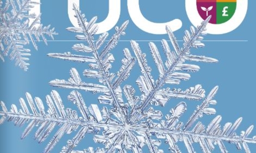 feb 25 cover