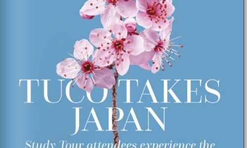 picture of cherry blossom on a background of blue, spelling out tuco takes japan