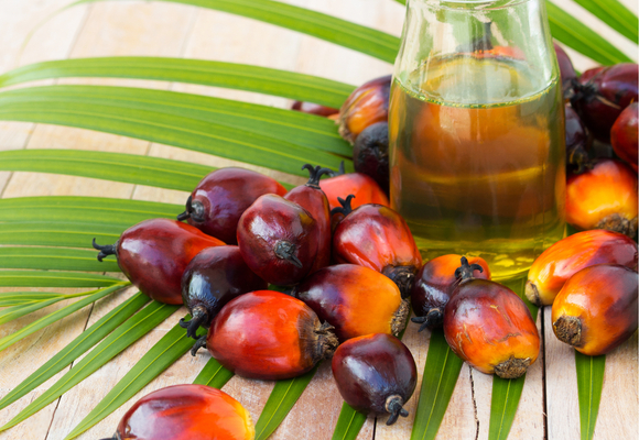 Palm Oil Supply Chain Review