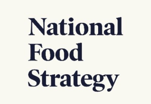 national food strategy logo
